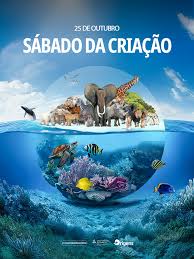 Image result for foto criação de deus