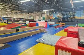 Image result for The Academy Of Gymnastics Portishead
