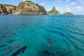 Image result for fernando de noronha