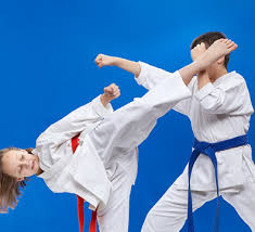 Image result for Get Into Martial Arts