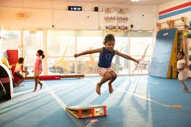 Image result for Aerodyne Gymnastics Club