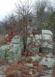 Image result for SEM micrographs of Novaculite Arkansas