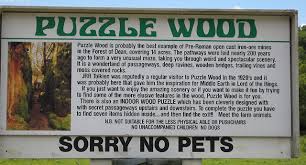 Image result for example