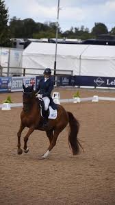 Image result for Interfreestyle Sport Karate