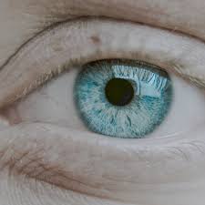 Image result for image