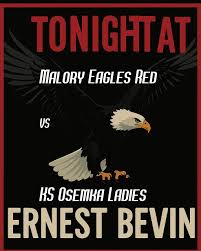 Image result for Malory Eagles volleyball club