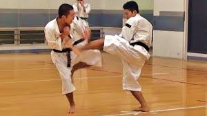 Image result for Durham University Shorinji Kempo Society Club