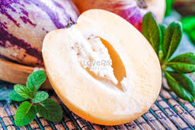 Attēlu rezultāti vaicājumam “Herminium monorchis fruit”