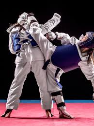 Image result for Red Dragon Taekwondo club