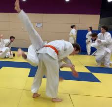 Image result for Durham University Shorinji Kempo Society Club