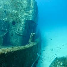 Image result for Luton British Sub Aqua Club