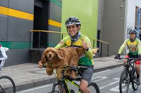 Image result for Angmering Cycling Club