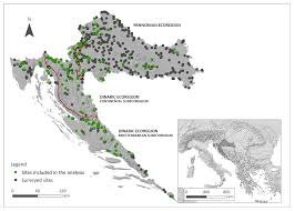 Attēlu rezultāti vaicājumam “Philonotis marchica macro”