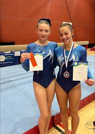 Image result for Brumby Gymnastics Club