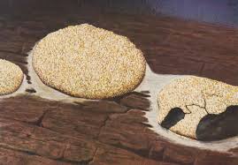 Attēlu rezultāti vaicājumam “Diderma testaceum spores”