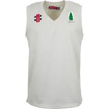 Image result for Alne Cricket Club