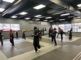 Image result for COURT FIELDS karate Academy
