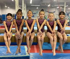 Image result for Torbay Olympic Gymnastics Club