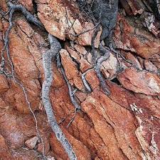 Image result for intemperismo