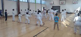 Image result for Haslemere Shotokan Karate Club