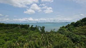 Image result for epl1 20mm night site:flickr.com