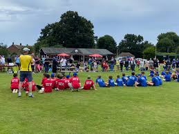 Image result for Halstead Colts Cricket Club