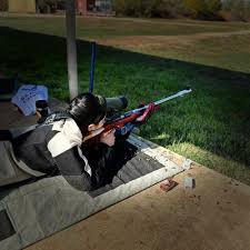 Image result for Darlington RA small-bore and Field target Club