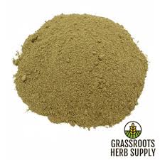 Attēlu rezultāti vaicājumam “Arctostaphylos uva-ursi leaf”