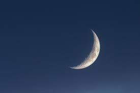 Image result for moon venus