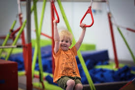 Image result for Wiltshire School Of Gym