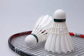 Image result for Lings Badminton Club