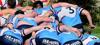 Image result for Wilmslow Rugby Union Football Club