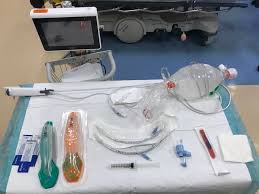 Image result for Igel