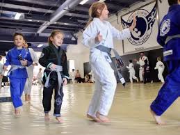 Image result for Weston Academy Of Martial Arts