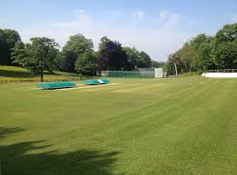 Image result for Bradley & Colnebridge Cricket Club