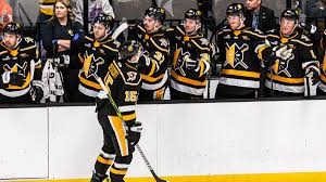 Image result for Norton Cyclones Skater Hockey Club