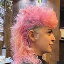 Image result for coupe longueuil