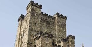 Image result for Newcastle Riverkings