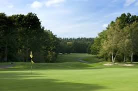 Image result for Leatherhead Lawn Tennis Club