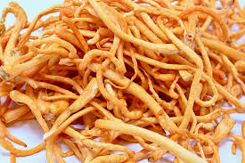 Attēlu rezultāti vaicājumam “Cordyceps”