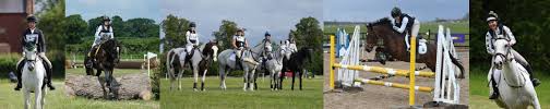 Image result for Abinger Forest Riding Club
