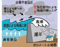 Image result for 高潮 津波 別物