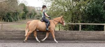Image result for Shey Copse Riding Centre