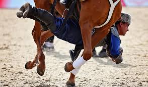 Image result for Blackpool & Fylde Horse Club