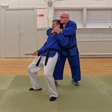 Image result for Bushin Kenpo Kai Schools