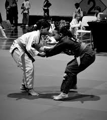 Image result for Warley Martial Arts Centre