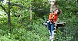 Image result for Go Ape! Grizedale
