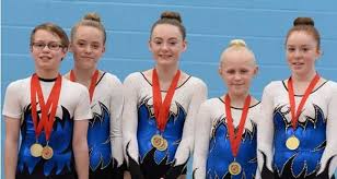 Image result for Heathrow Aerobics Gymnastics Club