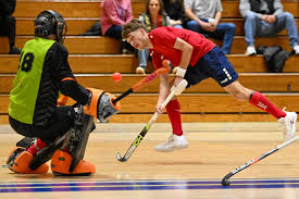 Image result for Indoor Hockey (Casual Use)