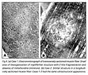 Clinical genetics and DNA